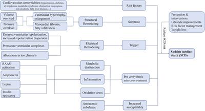 Obesity and sudden cardiac death: Prevalence, pathogenesis, prevention and intervention